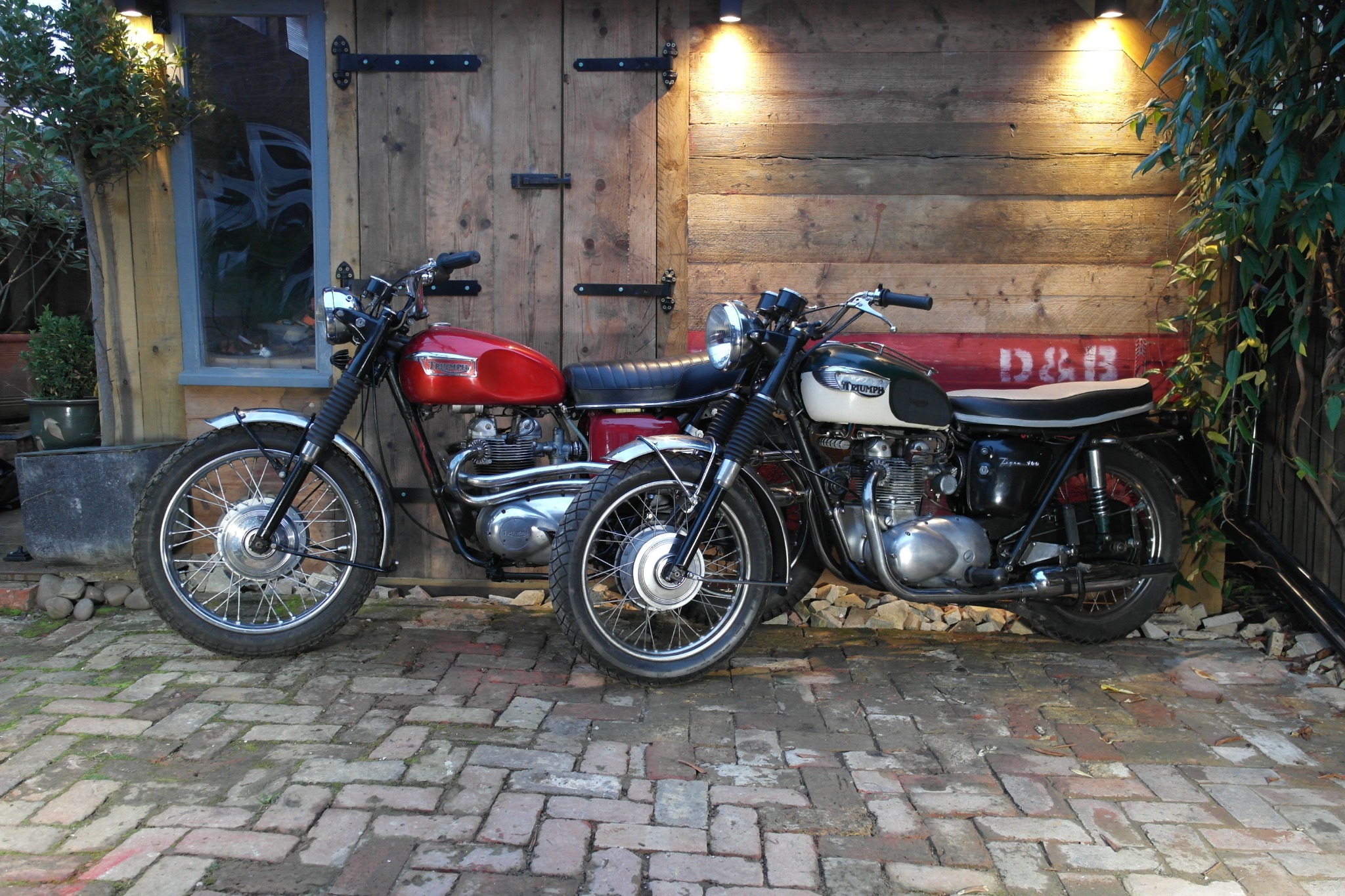 Triumph T100SS photograph 1