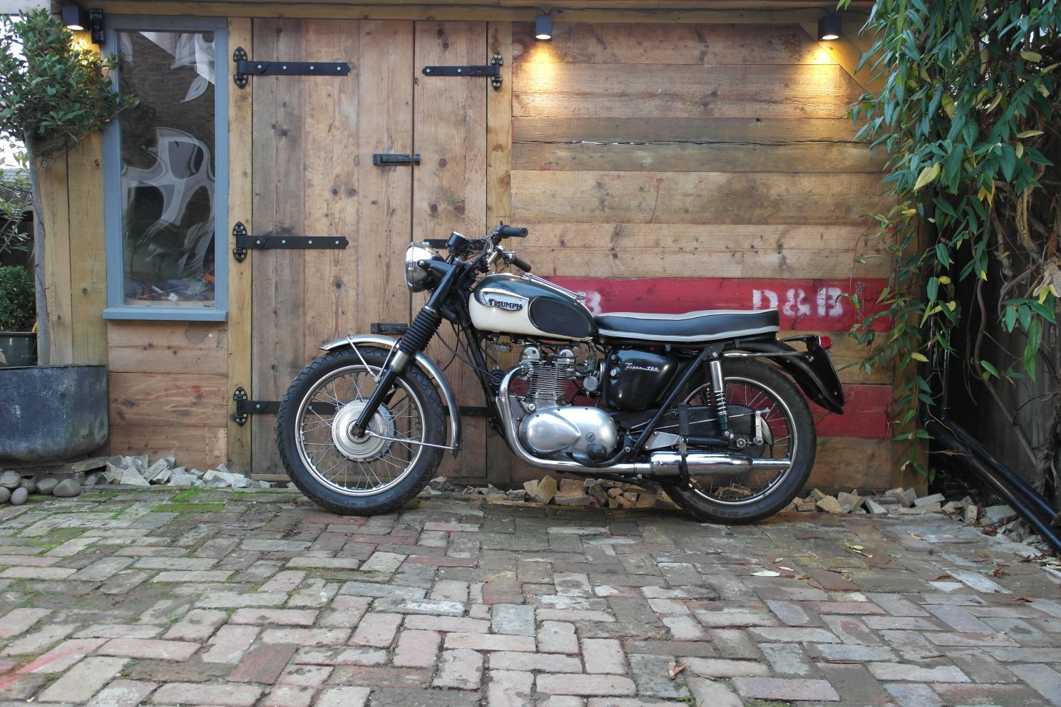 Triumph T100SS photograph 3