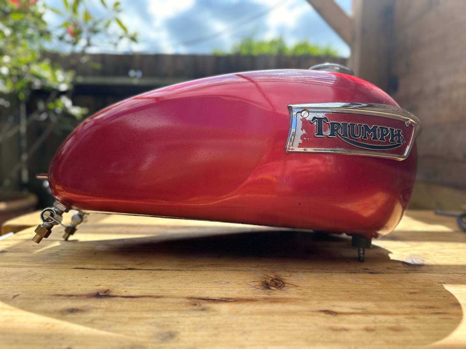 Triumph tank detail